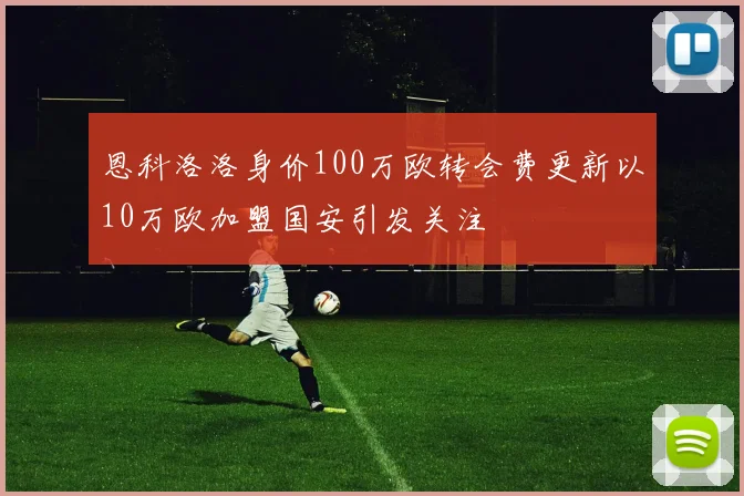 恩科洛洛身价100万欧转会费更新以10万欧加盟国安引发关注