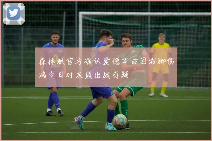 森林狼官方确认爱德华兹因右脚伤病今日对灰熊出战存疑